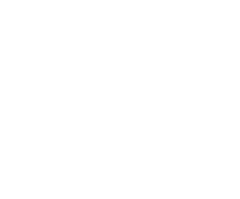 Blue Cross Blue Shield