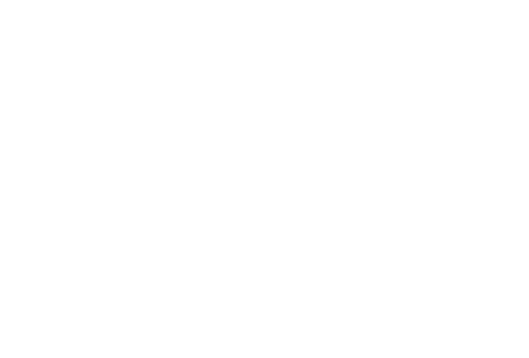 Instavision